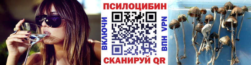 Галлюциногенные грибы ЛСД Коломна